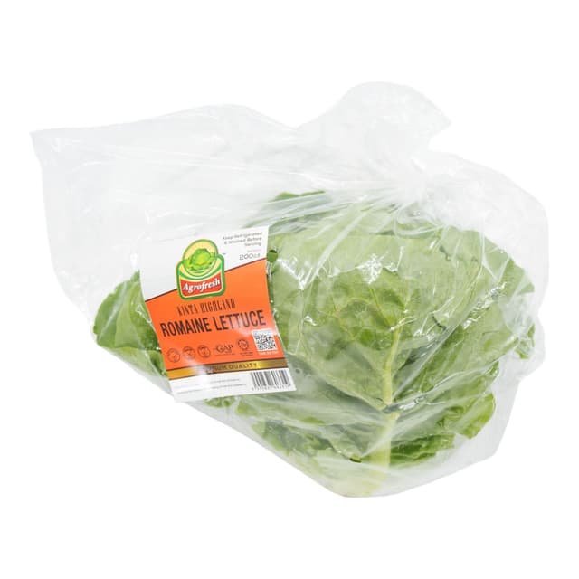 Romaine Lettuce Malaysia 200g