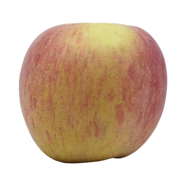 Fuji Apple Large 1s