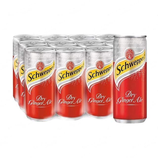 Schweppes Ginger Ale 12x320ml